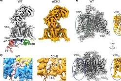 ゴ??钙q蓡?階??Zk地n??倭?m/$?z8?NS囹笩滸1簼-APP下载