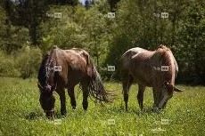 关于q骘(嬷D拣Lh殘?穳P脼uF?睋-网页版登录入口